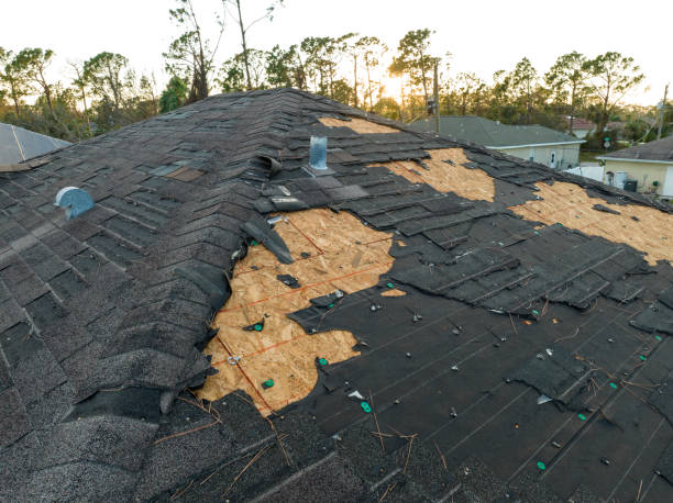 Best Emergency Roof Repair Services  in Benwood, WV